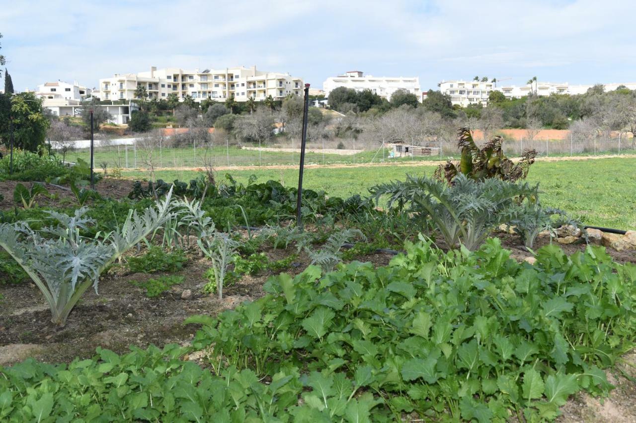 Quinta David Villa Alvor Exterior foto